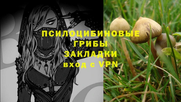 мет Алзамай