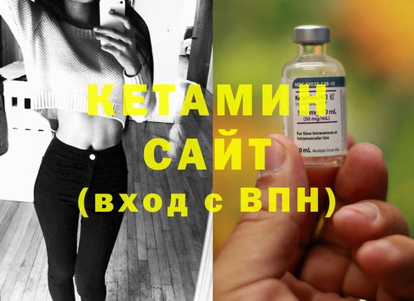 индика Алексин