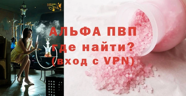 индика Алексин